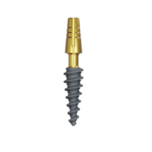POWER S implant