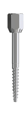 Guide Anchor Screw